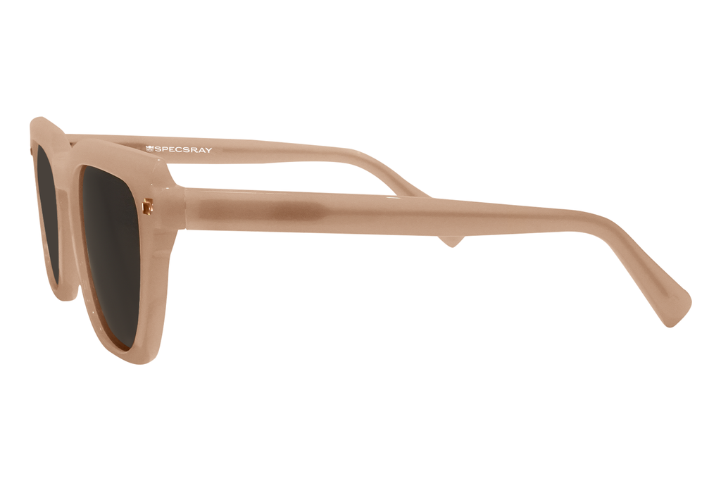 SPECSRAY sunglasses SQUARE  FULL RIM ACETATE
